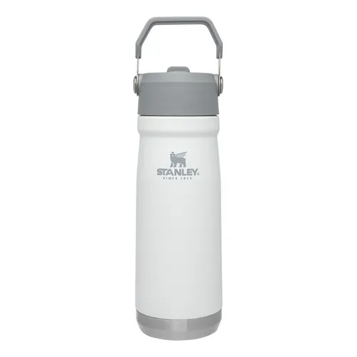 Botellas Stanley 650ml
